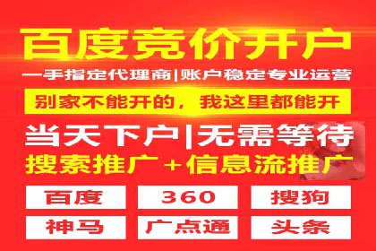 XX行业竞价广告的投放策略与效果分析